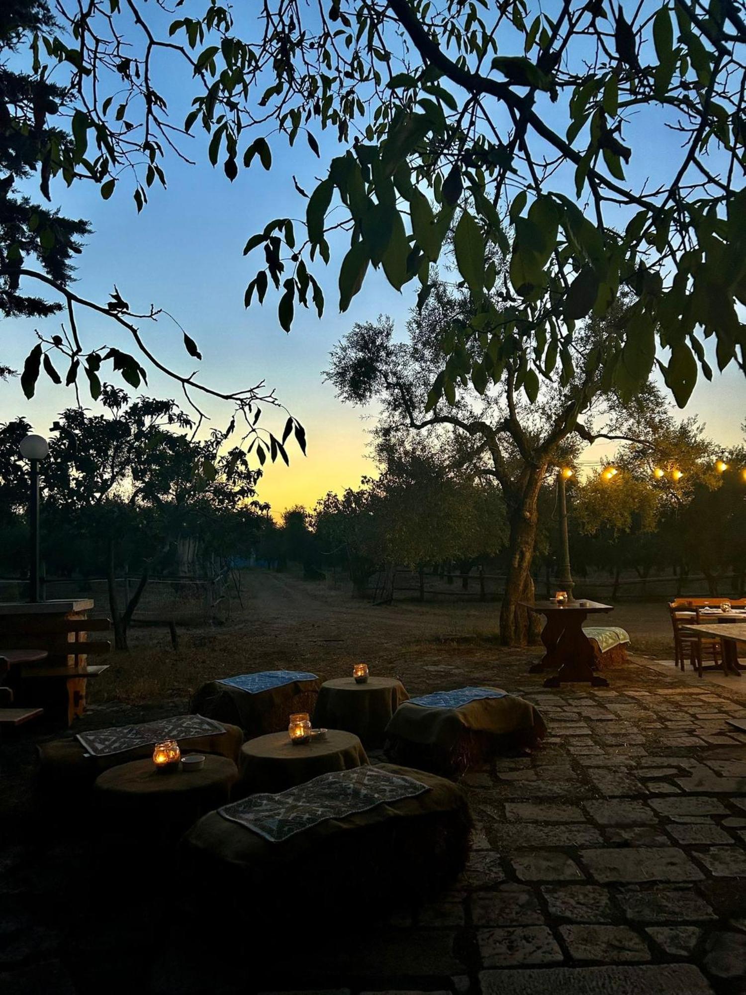 Agriturismo Armienti Villa Toritto Ngoại thất bức ảnh